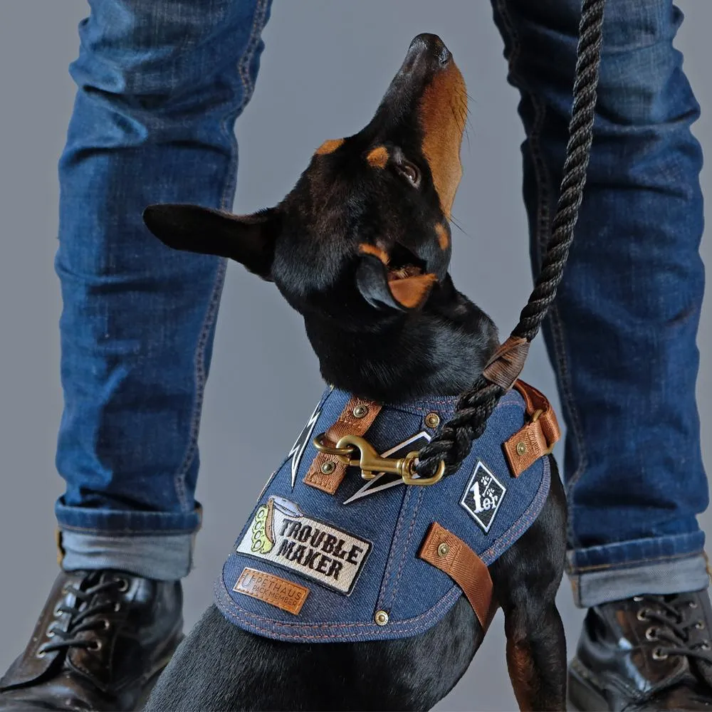 Dog harness - Battle Harness