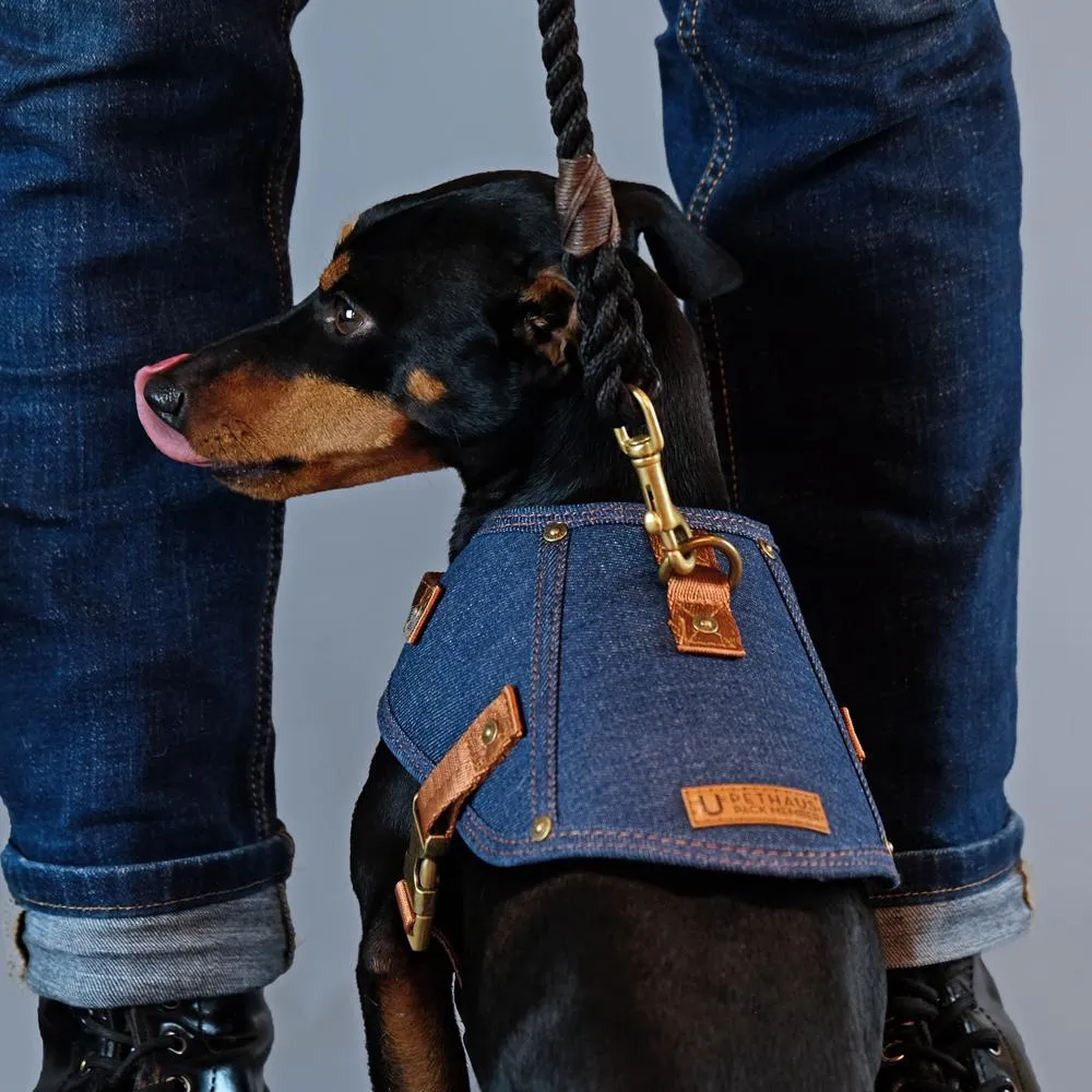 Dog harness - Battle Harness