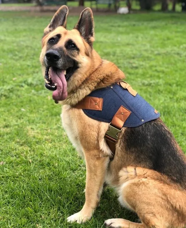 Dog harness - Battle Harness