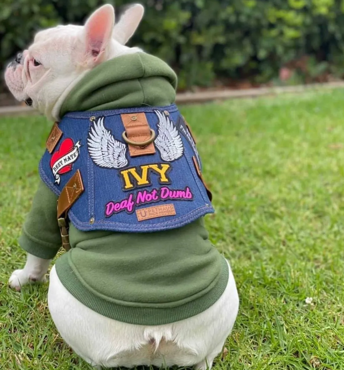 Dog harness - Battle Harness