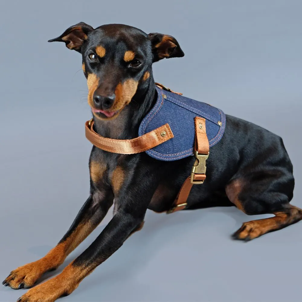 Dog harness - Battle Harness