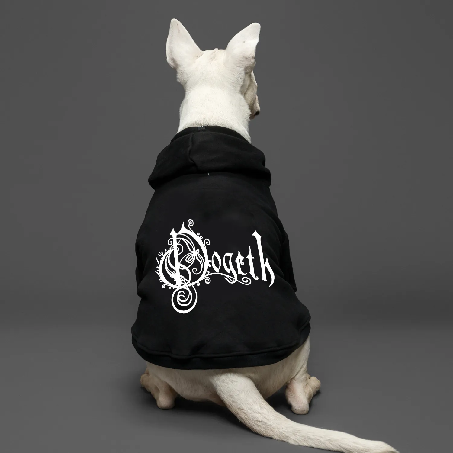 Dogeth Band Dog Hoodie