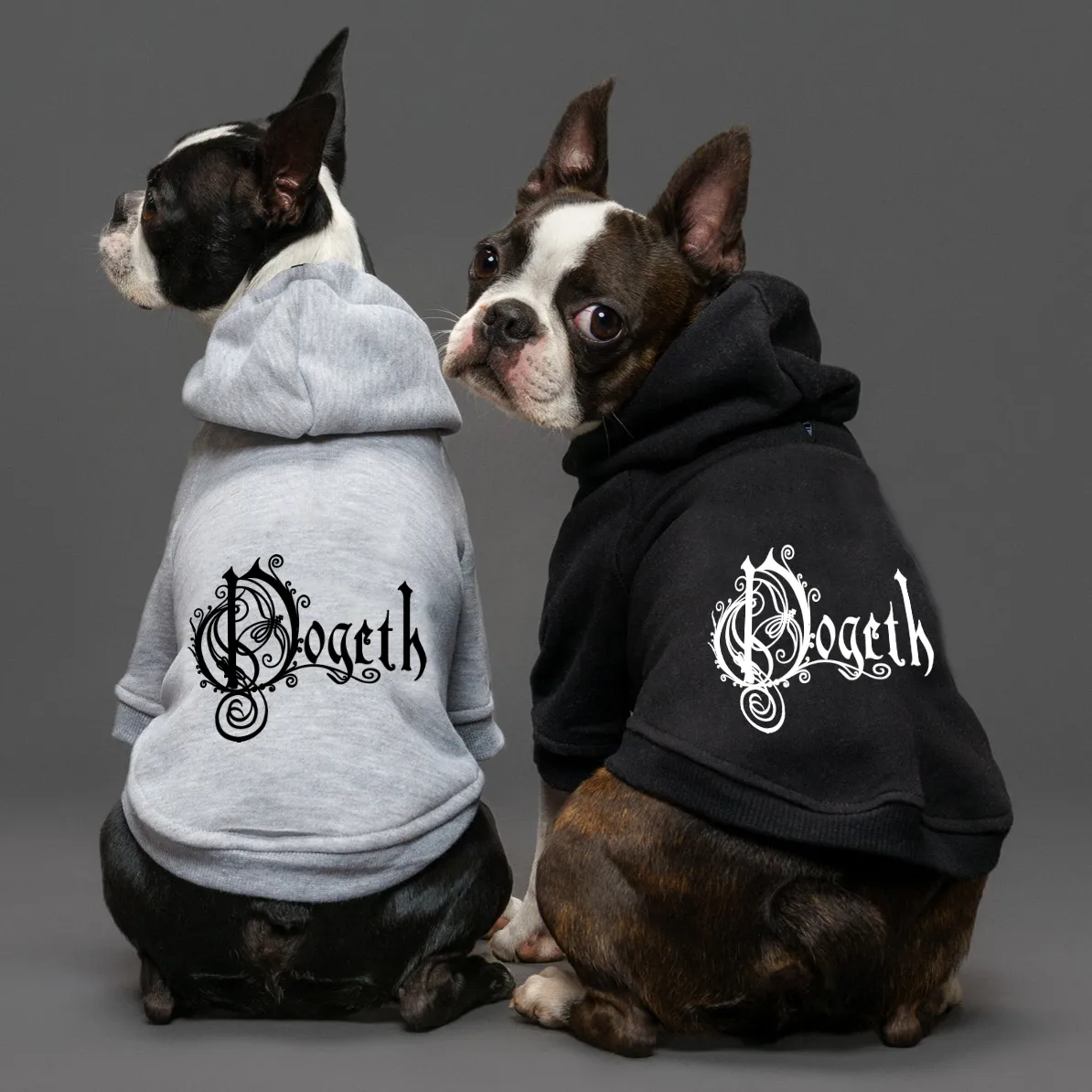 Dogeth Band Dog Hoodie